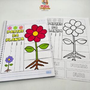 Partes da Planta